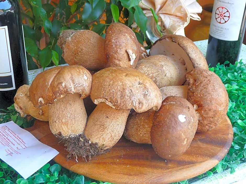 Albergo Ristorante Corsini