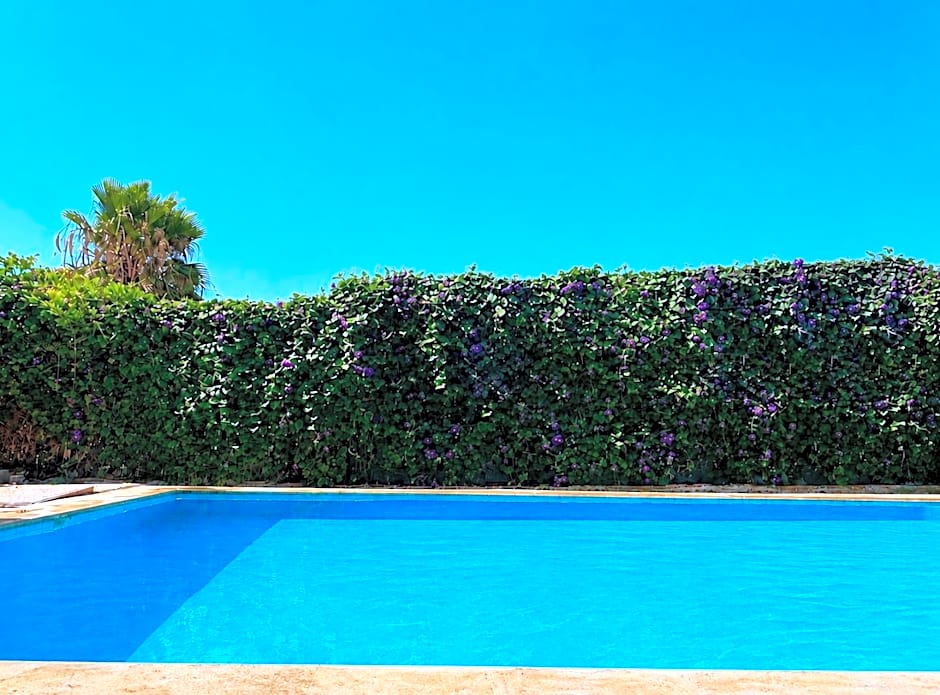 Enjoy Hotel