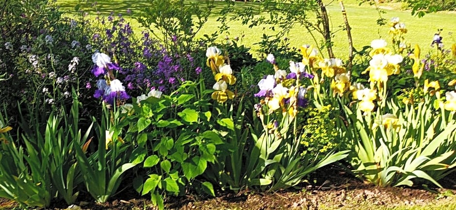 Chambre d'hôtes Au jardin de la Bachellerie