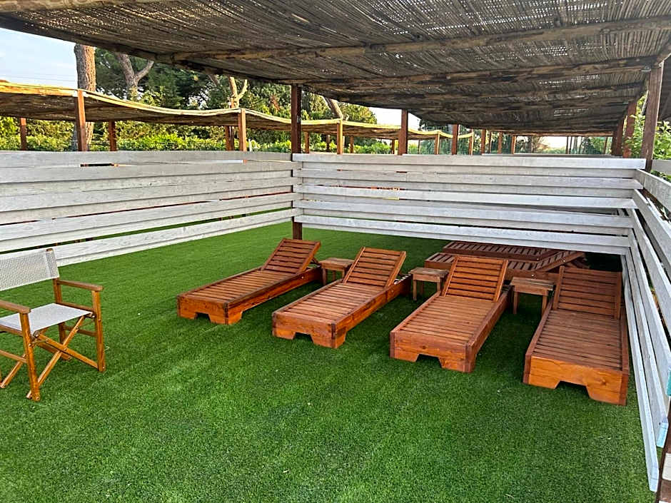 Fattoria Palazzeta - Pet & Family Friendly