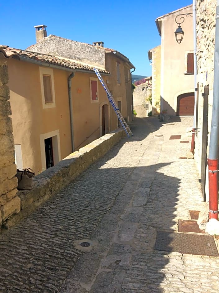 Rose – Bonnieux, UT