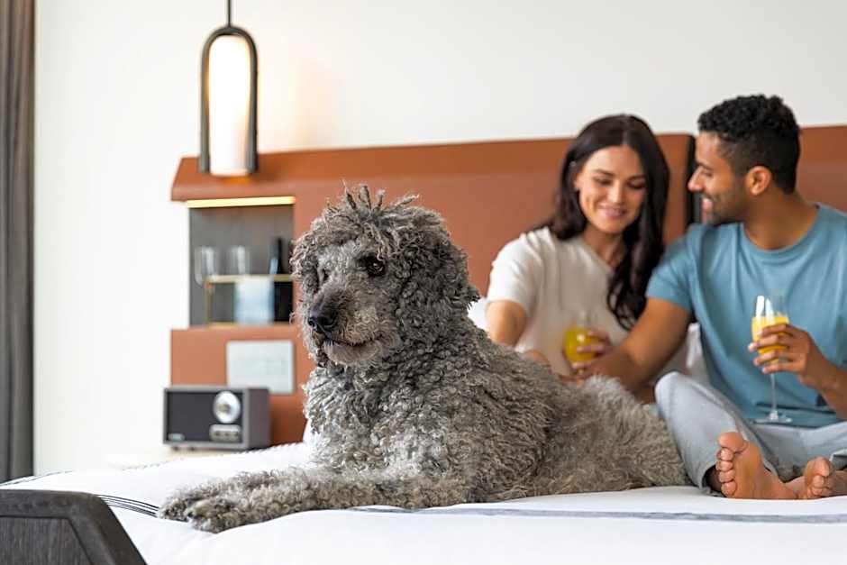 Thompson Denver by Hyatt