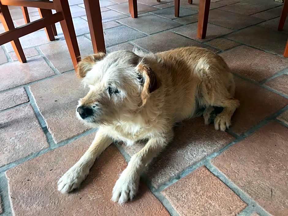 Country House Antiche Dimore