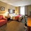Comfort Inn & Suites Morganton South