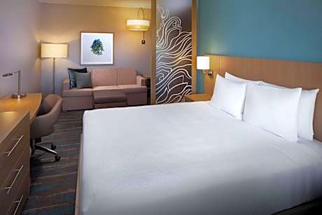 KING BED (PLUS SOFA BED)