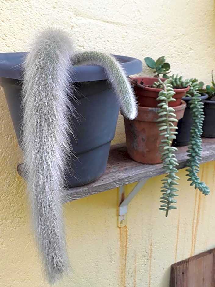 Pousada Casa do Cerrado - Alto Paraíso de Goiás