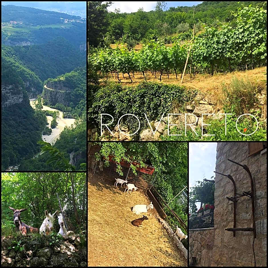 Appartamenti Camere Masi Brenta