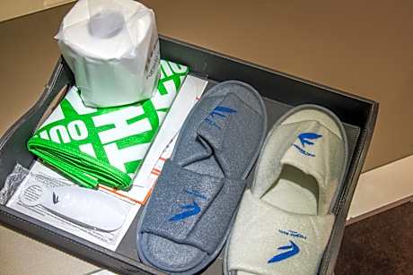 Standard Double Room without Window