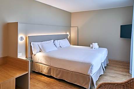 Double or Twin Room with Terrace