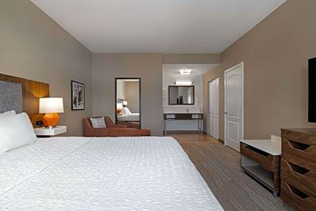 1 King Bed 1 Bedroom Suite Nonsmoking