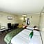 Kauri Court Motel and Apartments