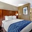 Comfort Inn Nashville - Opryland Area