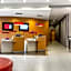 Ibis Bursa