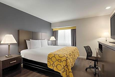 1 King Bed Non-Smoking