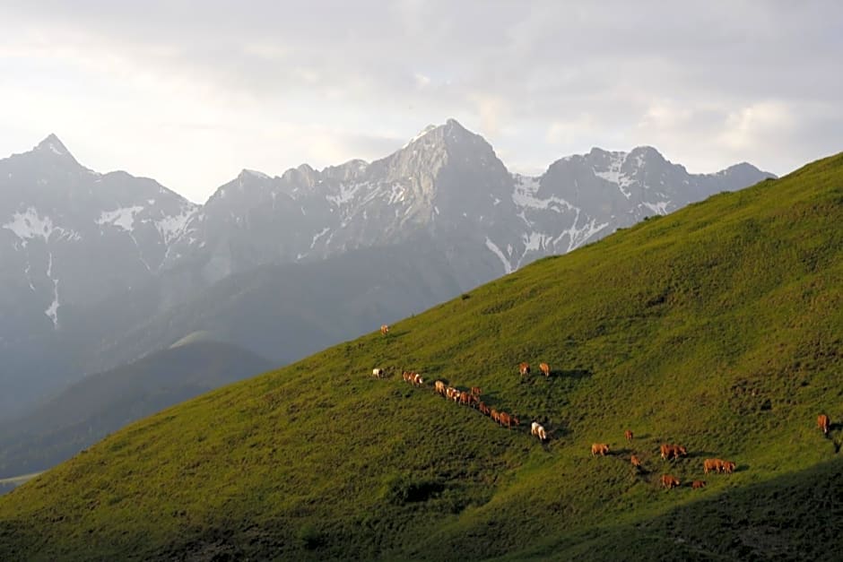 Biobauernhof Jagglhof