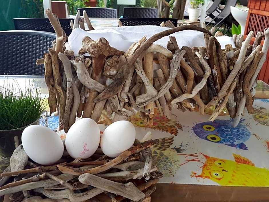 KUŞ YUVASI PANSiYON