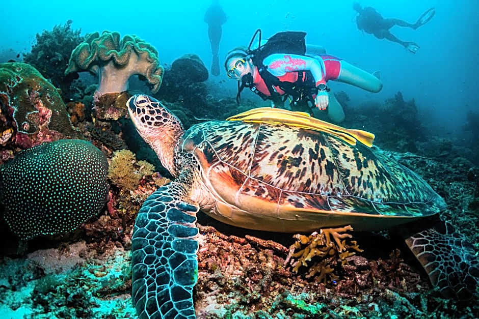 Scuba Republic Beach Bungalows