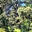 LES BOIS DE ZOLA entre Provence et Luberon