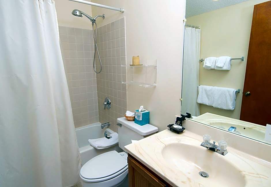 Okemo Mountain Lodging