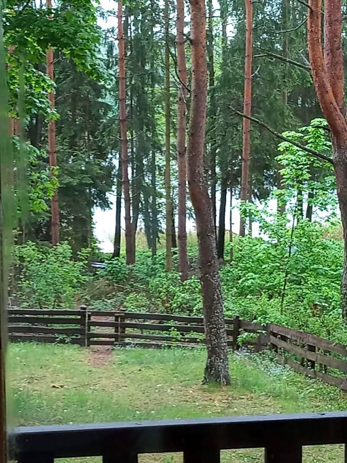 Warchały near Szczytno, RUSTIC LODGE at Lake