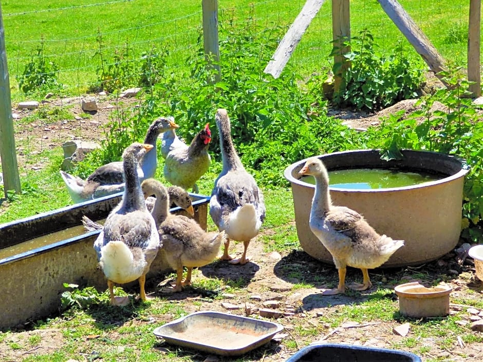 L'Ancien Presbytère Chambres D'hote ou Gite