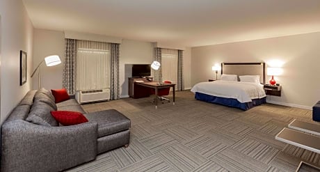 1 King Microwv/Fridge/Wet Bar Studio Suite Ns