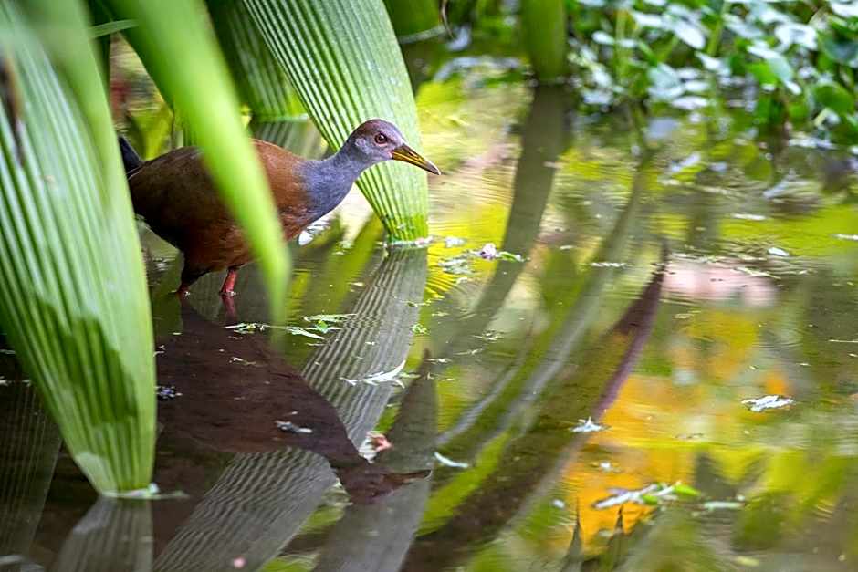 Casa Luna Hotel & Spa