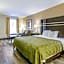 Quality Inn Stone Mountain