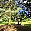 Familienferienpark Dambeck