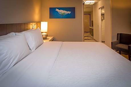 Premium King Room