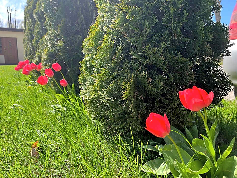Pokoje do wynajęcia "Pod Wydmami" Sarbinowo PRZY PLAŻY , PLAC ZABAW , ROWERY