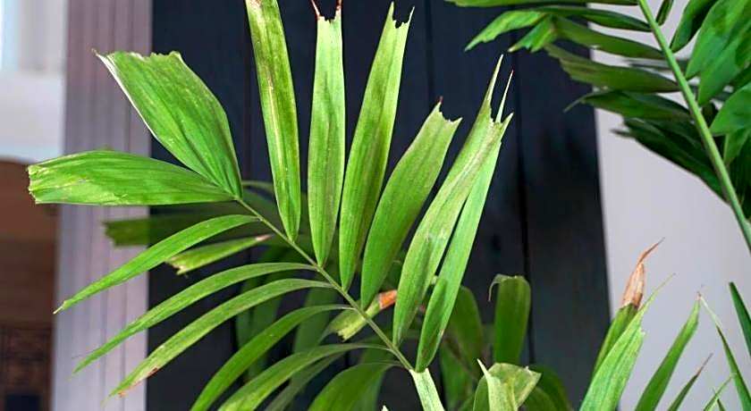 Best Western Chaweng Samui