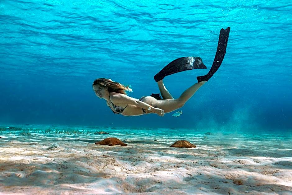 Grand Oasis Tulum Riviera - All Inclusive