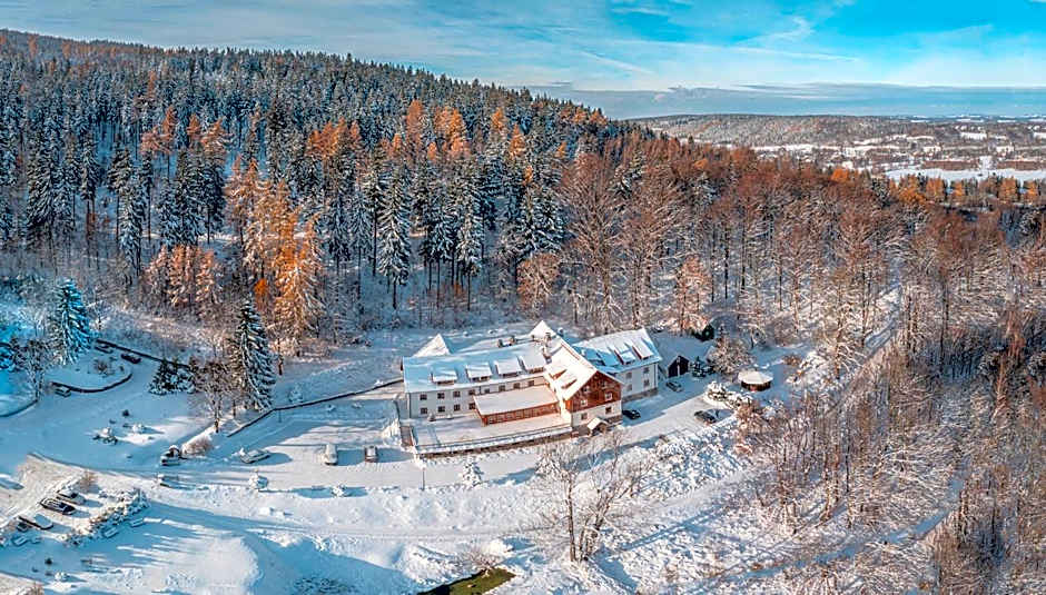 Hotel Le Mont Medical & SPA
