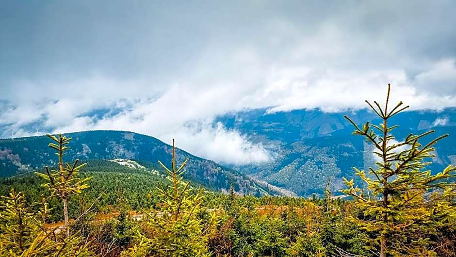 Chata pod Mravenečníkem