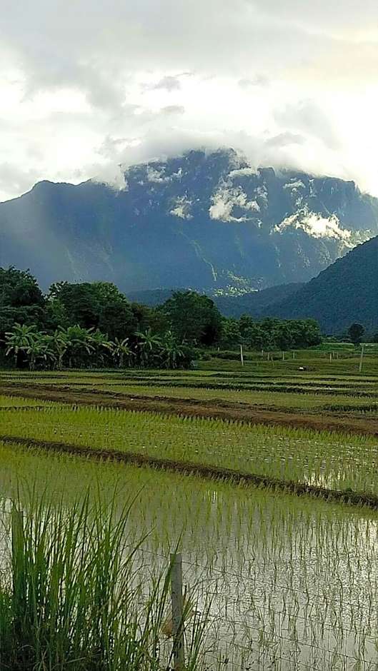 Ban Thung Talay Mok Chiangdao