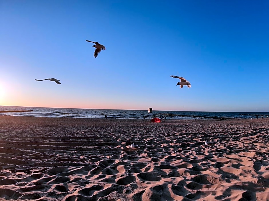 Yellow House Dziwnów