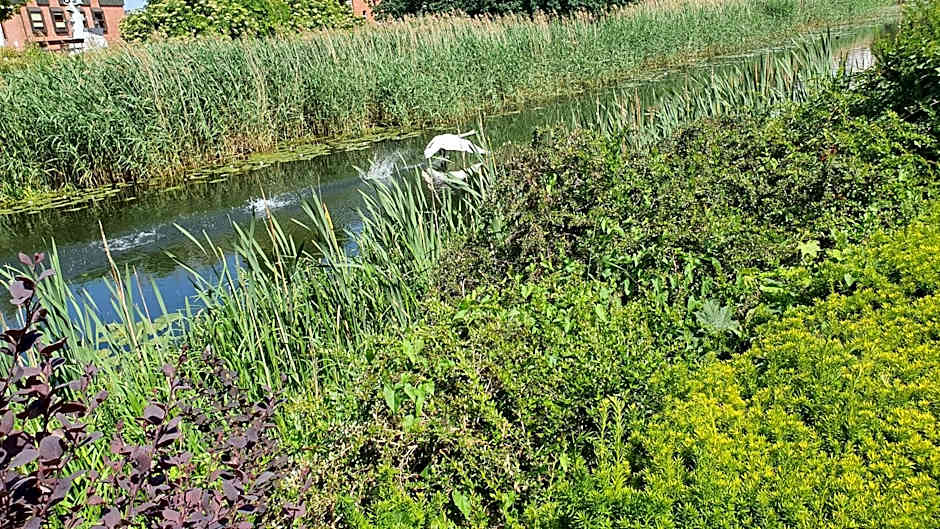 Podewils Old Town Gdansk