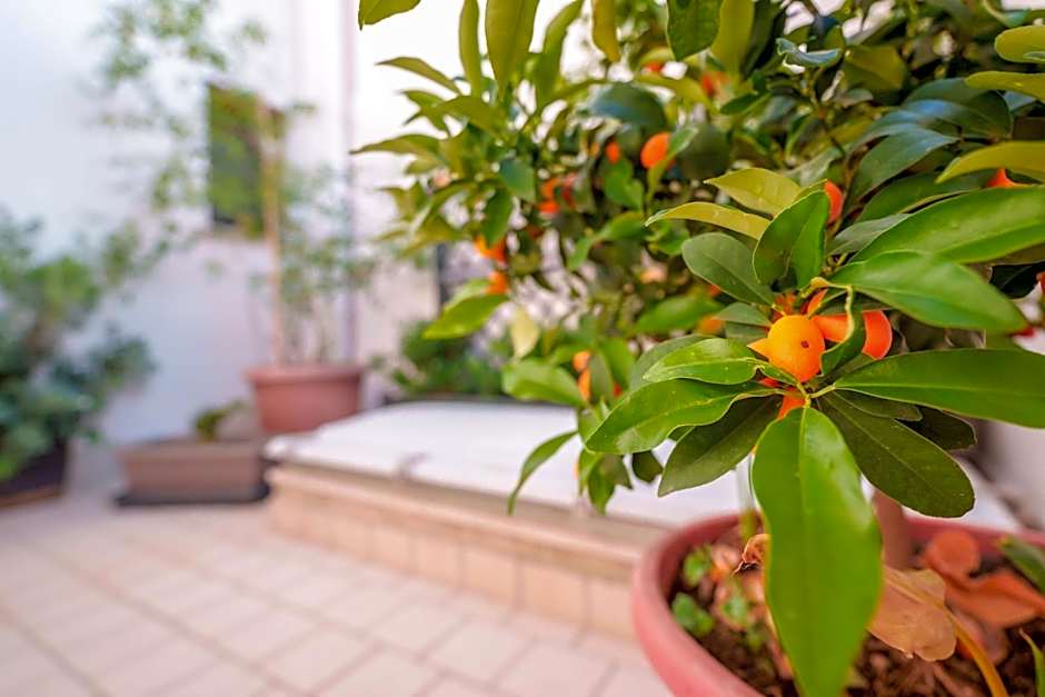 Antico Frantoio Cairoli B&B Exclusive Room