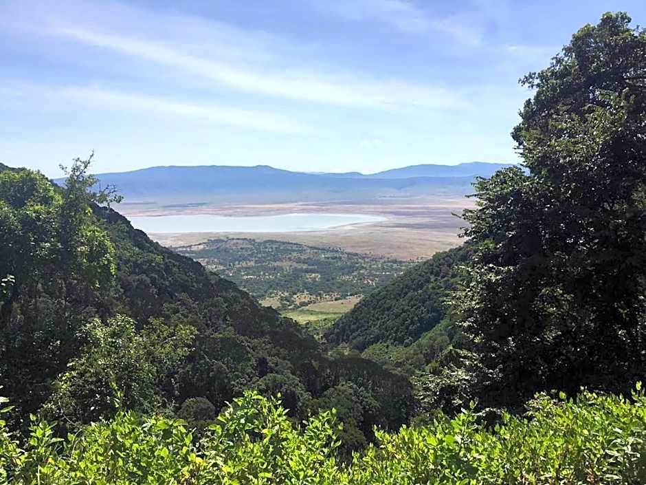 Florida Executive Inn