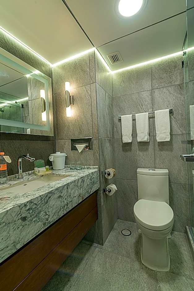 Holiday Inn Queretaro-Centro Historico By IHG