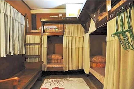 Cactus Hostel