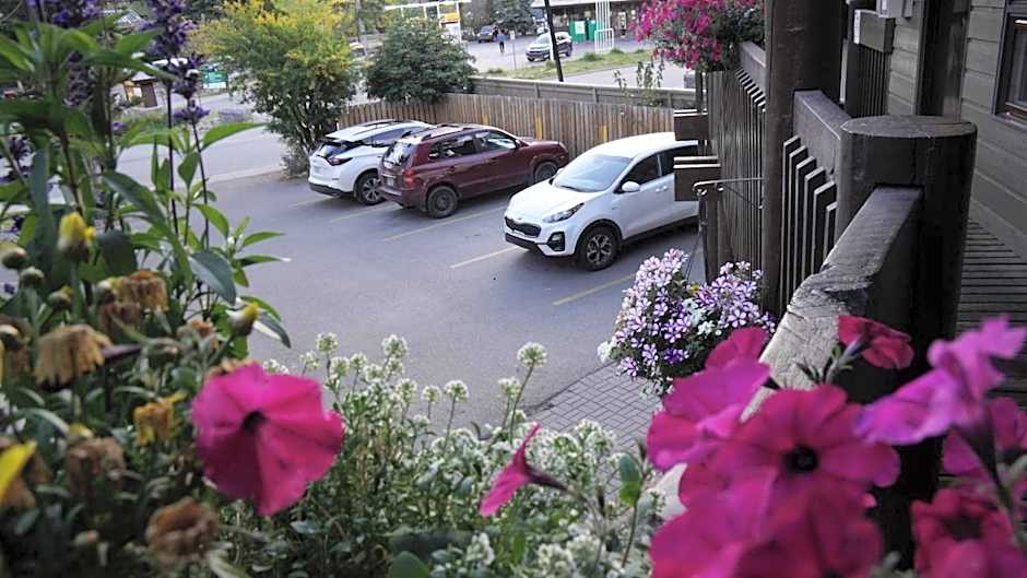Banff International Hostel