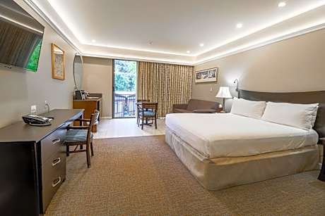 Premier King Room