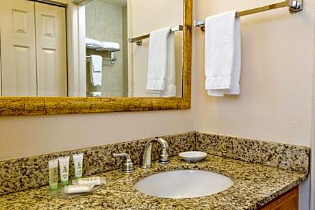 1 Queen 1 Bedroom Suite Mobility AccessibleTub