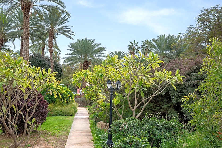 כפר נופש קלי"ה ים המלח