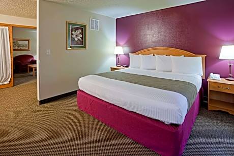 1 King Bed, One Bedroom Superior Suite, Non-Smoking