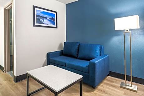 One-Bedroom King Suite - Non-Smoking