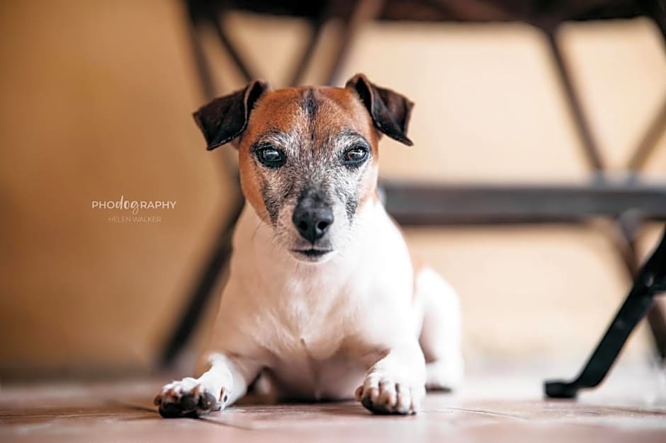 B&B DOMU INCANTO Sa Domu sarrabesa