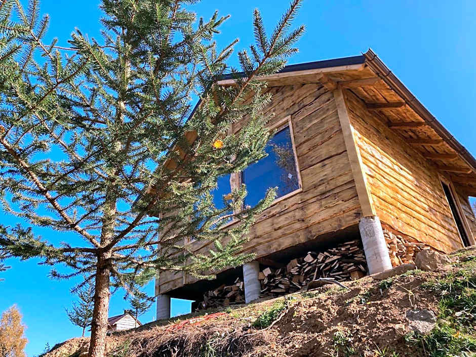 Cabana doi mesteceni